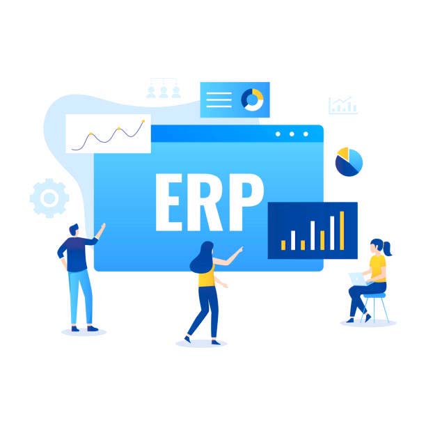 erp-projects1